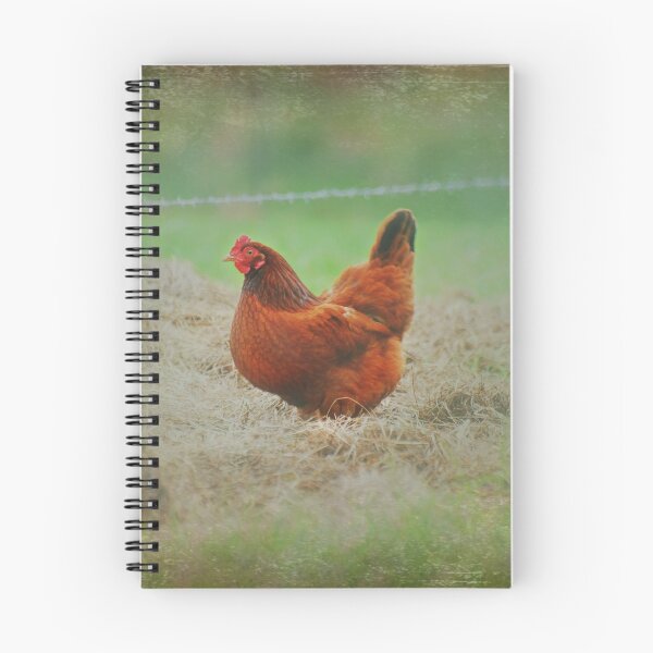 Item preview, Little Red Hen designed and sold by ScatteredBeams.