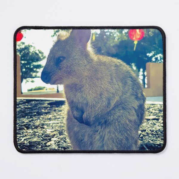 Item preview, Quokka Chinese New Year designed and sold by roddw.