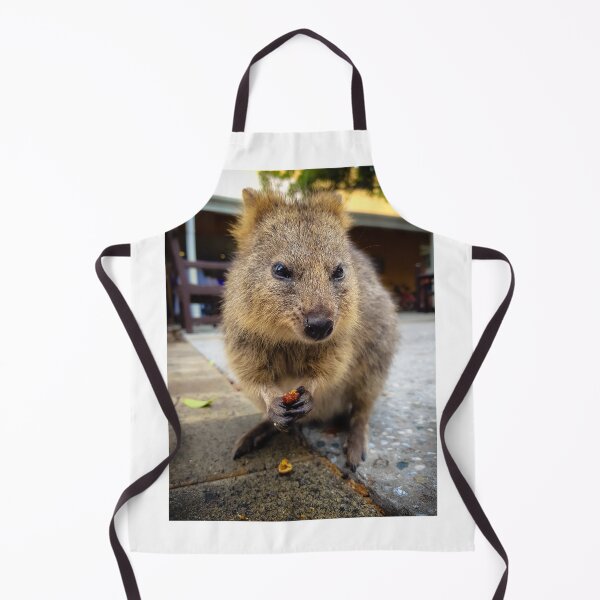 Item preview, Quokka Snacking designed and sold by roddw.