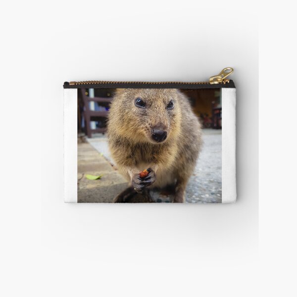 Item preview, Quokka Snacking designed and sold by roddw.