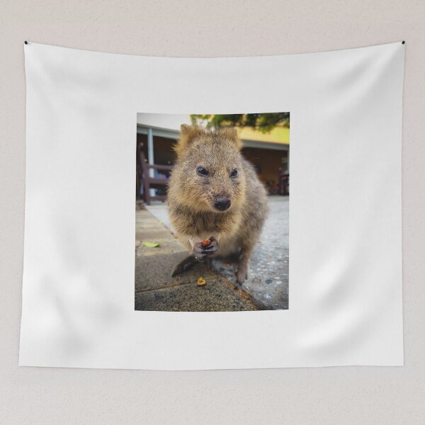 Item preview, Quokka Snacking designed and sold by roddw.