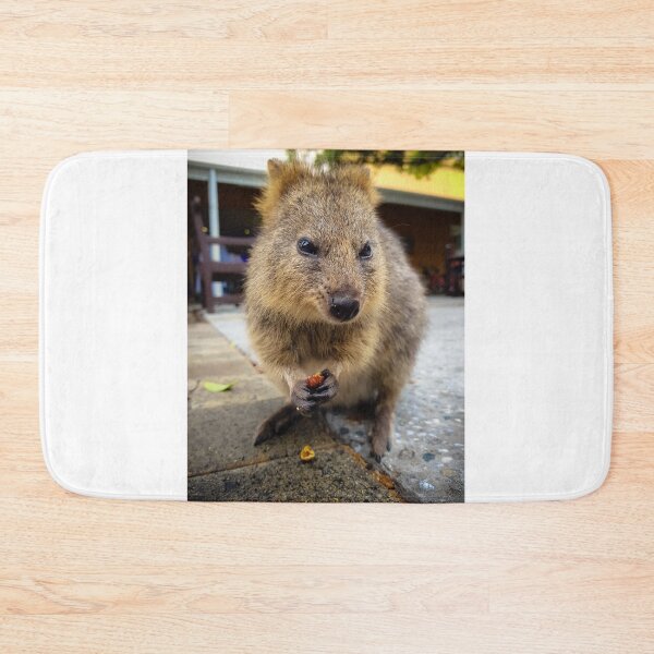 Item preview, Quokka Snacking designed and sold by roddw.