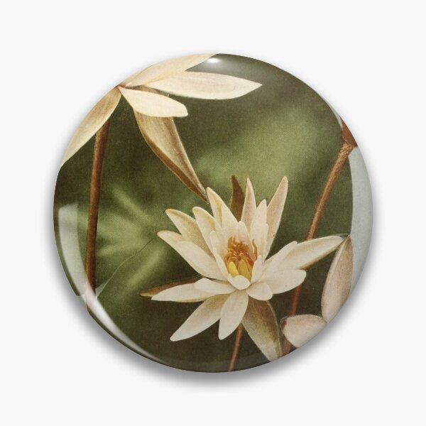Item preview, White Water Lily Vintage Print designed and sold by WeFLVintage.