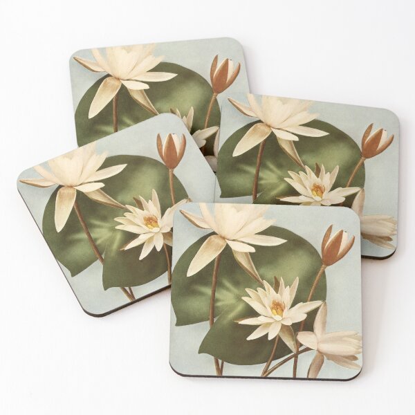 Item preview, White Water Lily Vintage Print designed and sold by WeFLVintage.