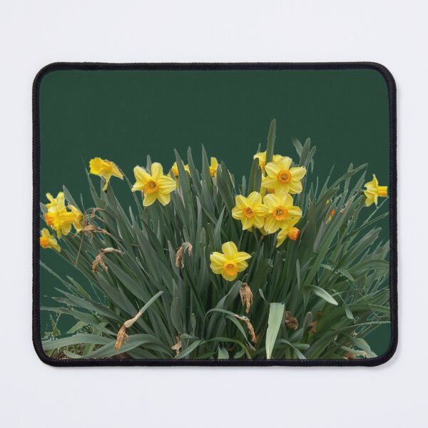 Item preview, Clump of Daffodils  designed and sold by Amanda1775.