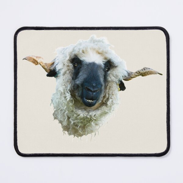 Item preview, Smiley Valais Blacknose Sheep Placement Print designed and sold by Jane Stanley Photography.
