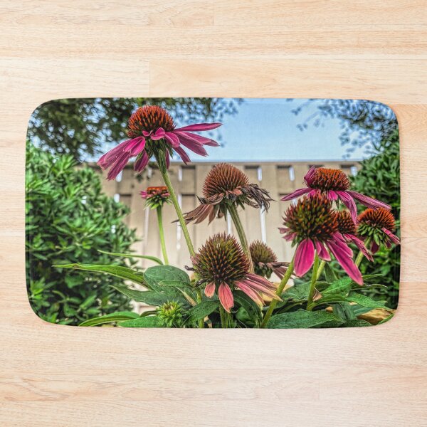 Item preview, Coneflowers Reaching High by Debra Martz designed and sold by Debra Martz.