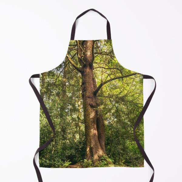 Item preview, Tall Cedar Tree in Fort Stevens State Park, Oregon designed and sold by Karen Granoski.
