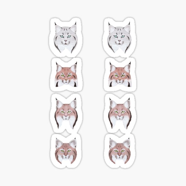 Set of Lynx Cats Sticker