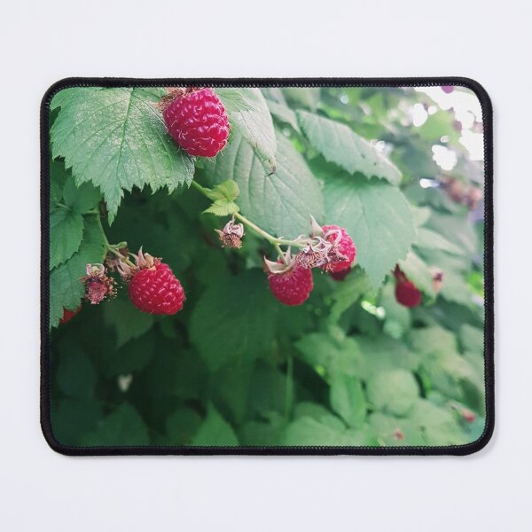 Item preview, Raspberries photograph designed and sold by Emily Bickell.