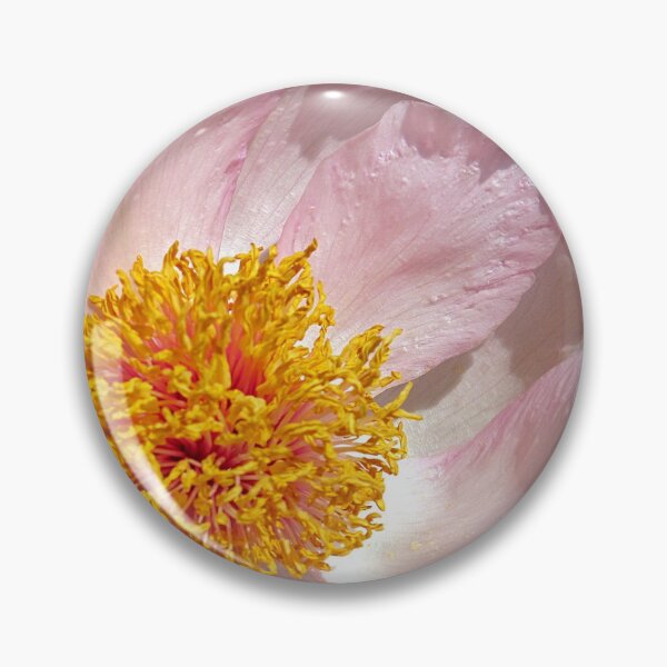 Item preview, Peony # 2 designed and sold by dps7777.