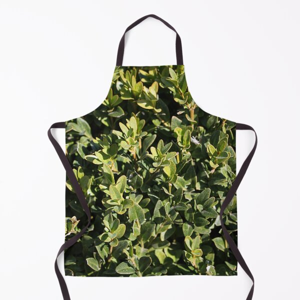 Item preview, Boxwood Shrub Leaves designed and sold by Asaha17.