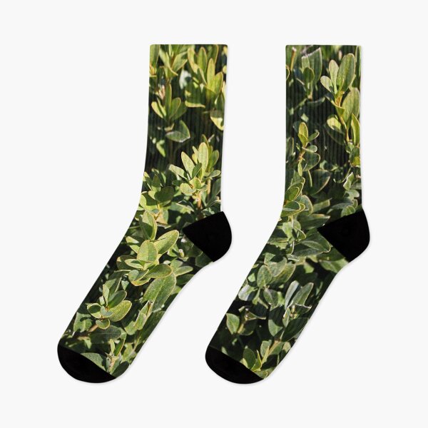 Item preview, Boxwood Shrub Leaves designed and sold by Asaha17.