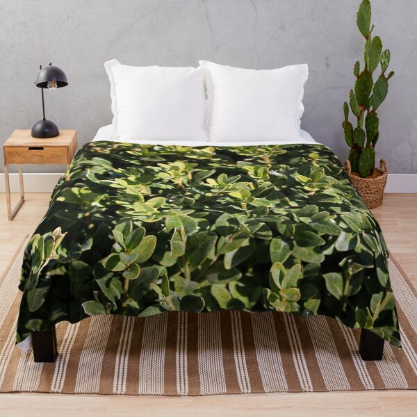 Item preview, Boxwood Shrub Leaves designed and sold by Asaha17.