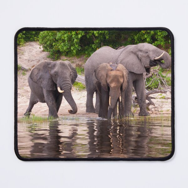 Item preview, Elephants Chobe River Botswana Africa designed and sold by PhotosEcosse.