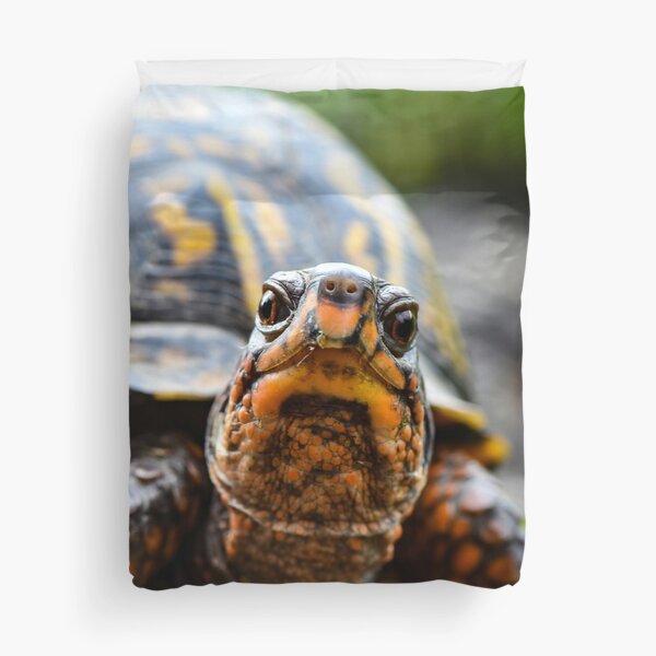 Tortoise Duvet Cover