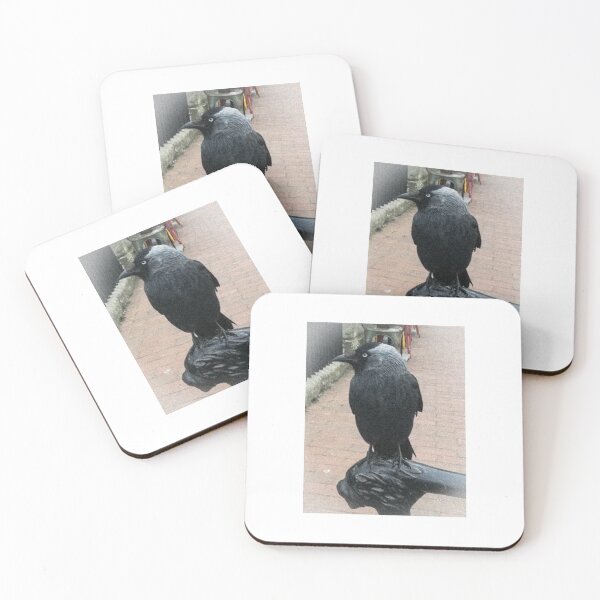 Item preview, Jackdaw (faded) designed and sold by TheScraggyBeard.