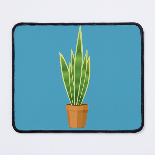 Item preview, Snake plant in a terracotta pot designed and sold by Bwiselizzy.