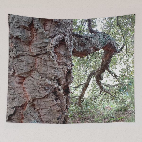 Item preview, Cork Oak Tree Forest 1 designed and sold by Anna Lemos.