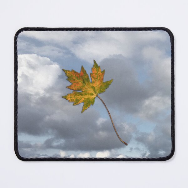 Item preview,  Maple leaf in autumn designed and sold by Bwiselizzy.