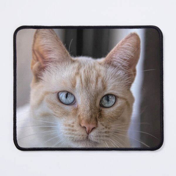 Item preview, Friendly Flame Point Siamese designed and sold by Elisabeth Lucas.
