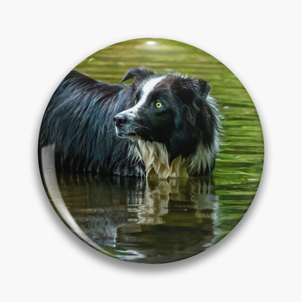Item preview, Come on where's my stick? designed and sold by Dalyndigital Photography.