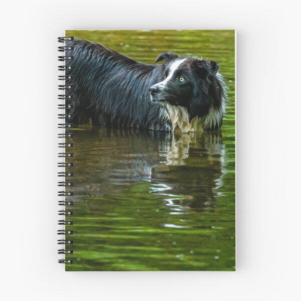 Item preview, Come on where's my stick? designed and sold by Dalyndigital Photography.
