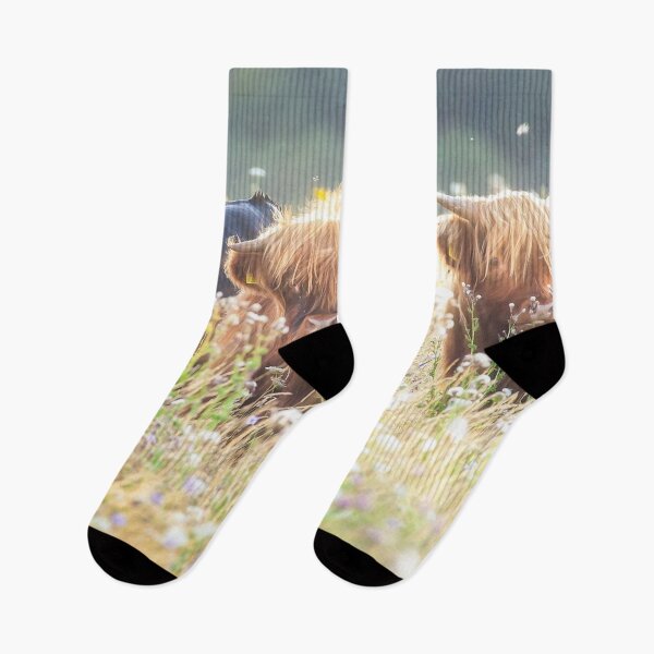 Item preview, Highland cows face on in flower field designed and sold by simonbratt.