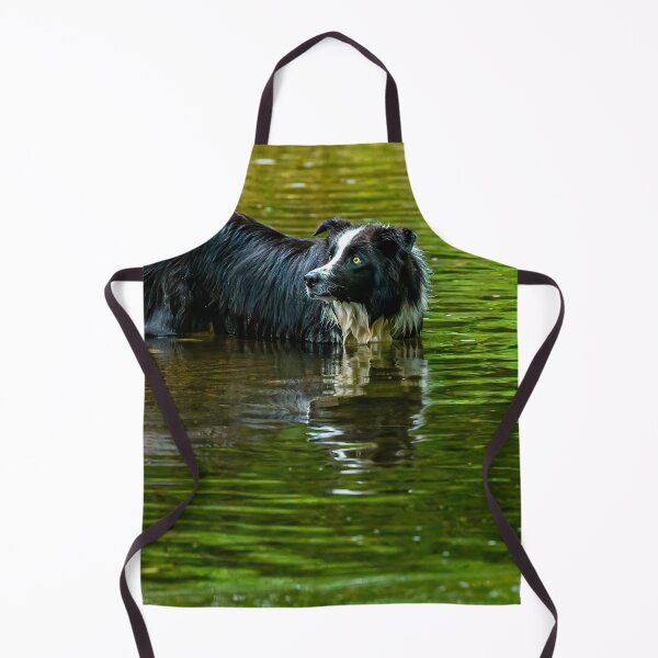 Item preview, Come on where's my stick? designed and sold by Dalyndigital Photography.