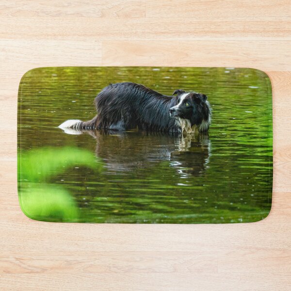 Item preview, Come on where's my stick? designed and sold by Dalyndigital Photography.