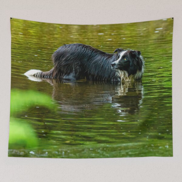 Item preview, Come on where's my stick? designed and sold by Dalyndigital Photography.