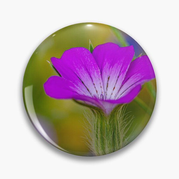 Item preview, Corncockle, a native UK wildflower designed and sold by Dalyndigital Photography.