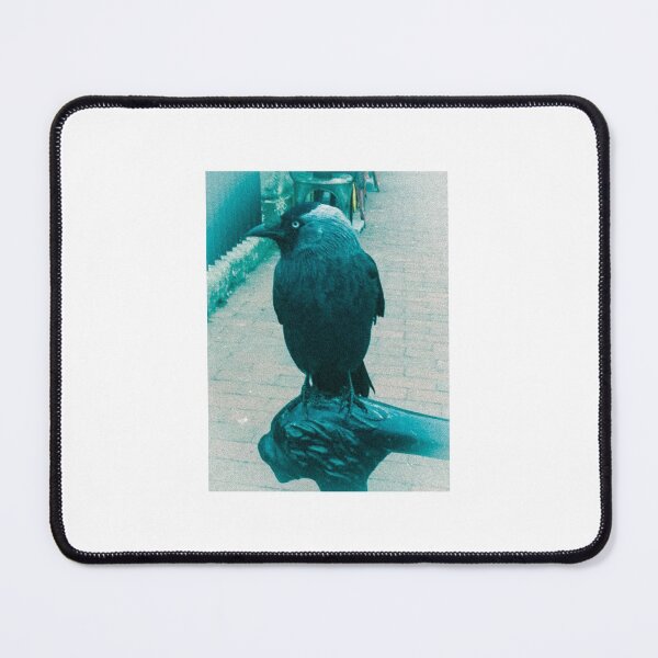 Item preview, Jackdaw (Blue) designed and sold by TheScraggyBeard.