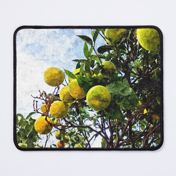 Item preview, Oranges on orange tree designed and sold by Anna Lemos.