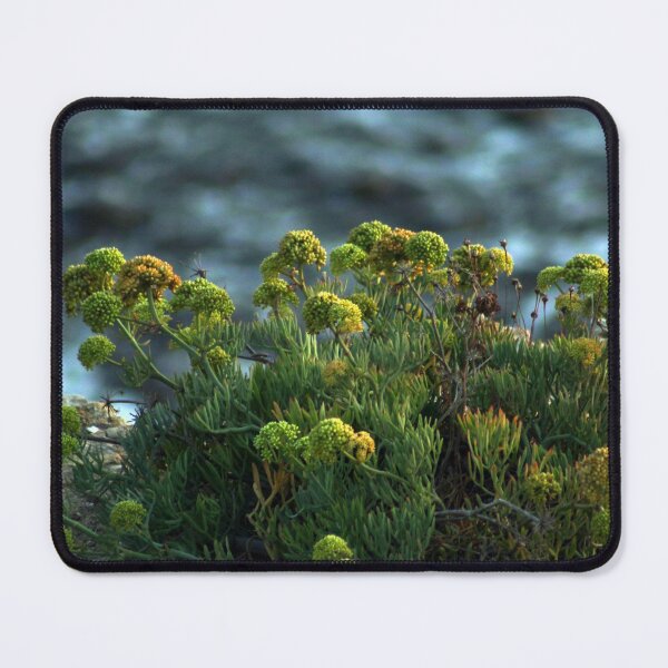 Item preview, Succulent Wildflowers by the Ocean designed and sold by Anna Lemos.
