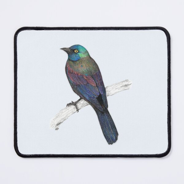 Item preview, Common Grackle designed and sold by Bwiselizzy.
