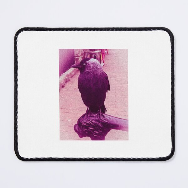 Item preview, Jackdaw (Purple) designed and sold by TheScraggyBeard.