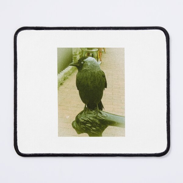 Item preview, Jackdaw (green) designed and sold by TheScraggyBeard.