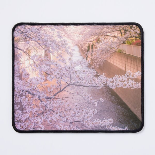 Item preview, Sakura tree over Kanda Gawa river designed and sold by TokyoLuv.