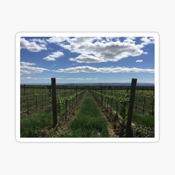 Item preview, Vineyard designed and sold by krishartman.