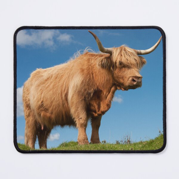Item preview, Highland Cow Blue Skies ! Isle of Skye. Scotland. designed and sold by PhotosEcosse.