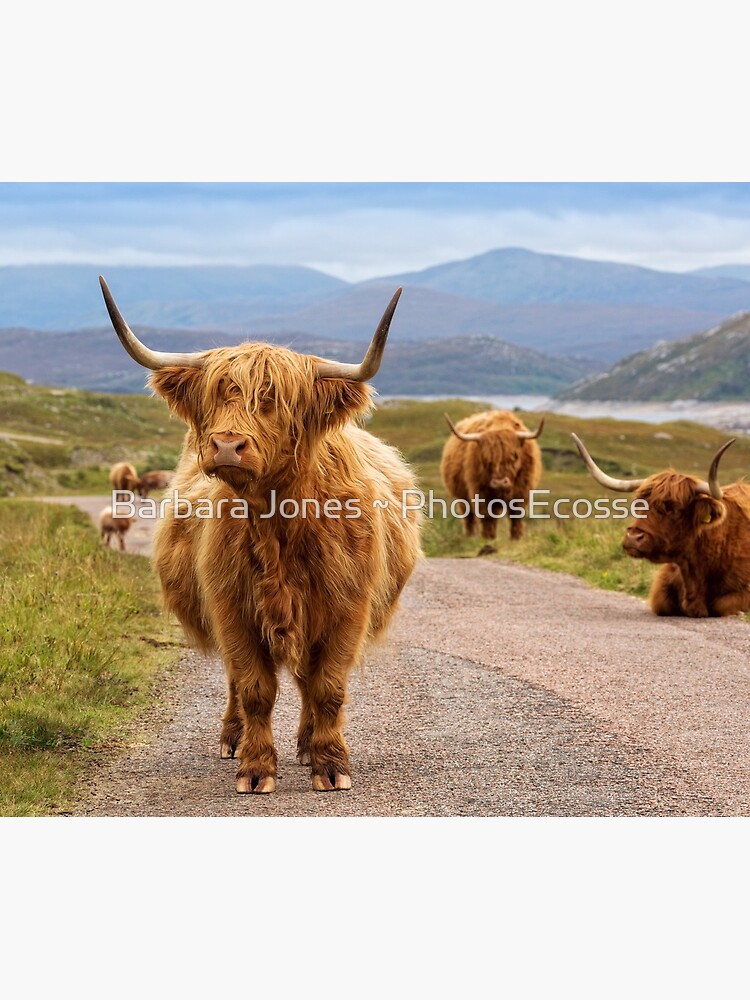 Imagen 5 de 5, Alfombrilla de ratón con la obra Highland Cow Glen Garry. Tierras Altas de Escocia., diseñada y vendida por PhotosEcosse.