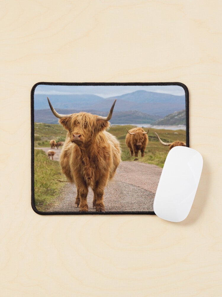 Imagen 1 de 5, Alfombrilla de ratón con la obra Highland Cow Glen Garry. Tierras Altas de Escocia., diseñada y vendida por PhotosEcosse.