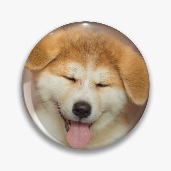 Item preview, Shiba Inu Winking Puppy Real Photograph designed and sold by Designs24U.