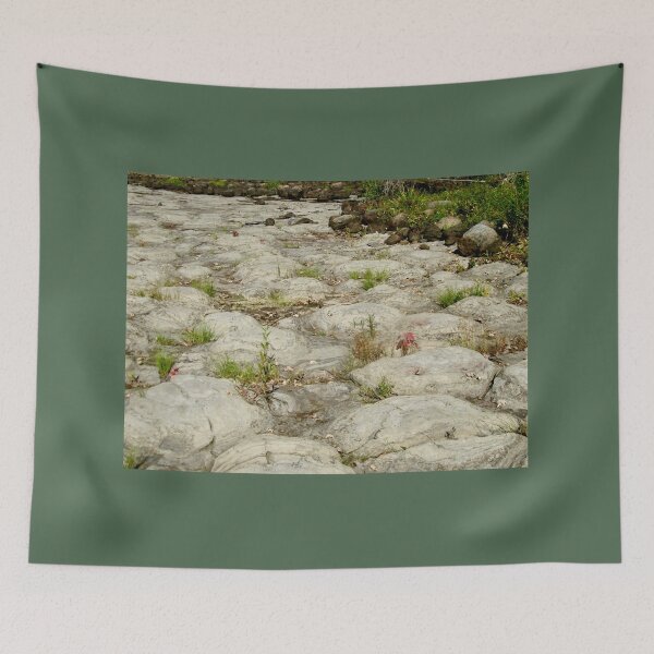 Item preview, Ancient Stromatolites designed and sold by Shulie1.