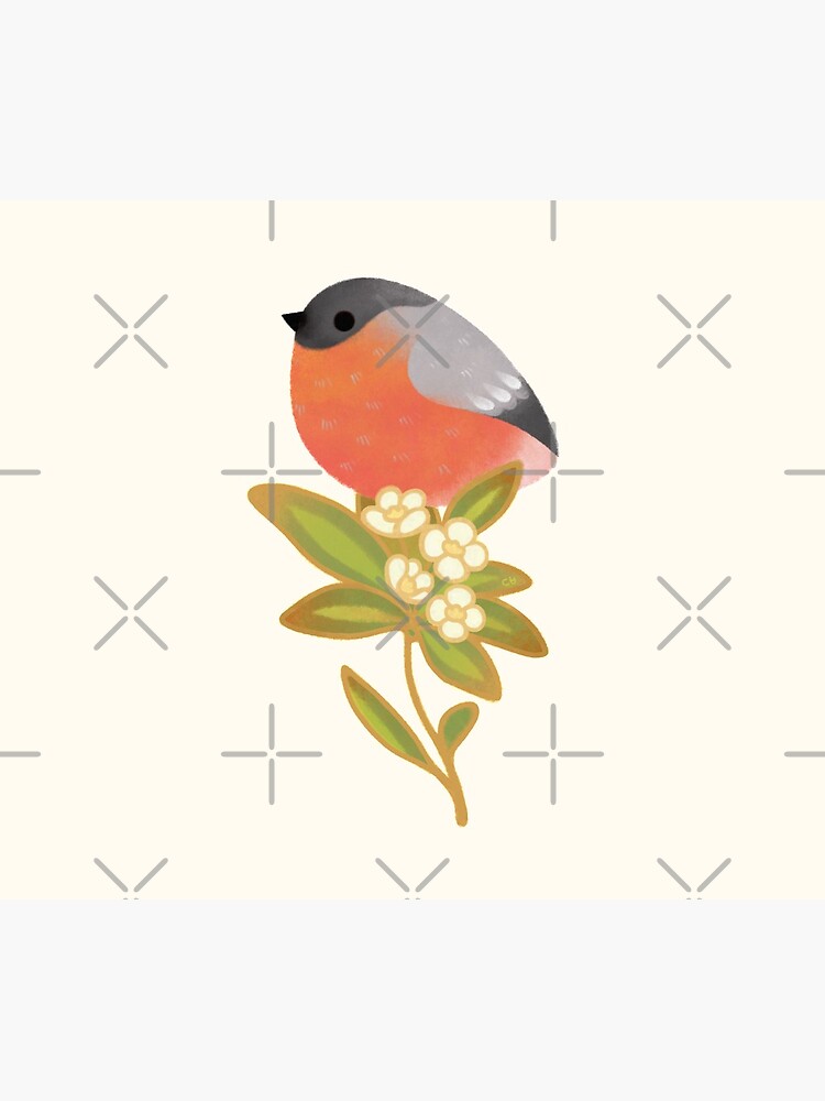 Eurasian bullfinch 2 by pikaole