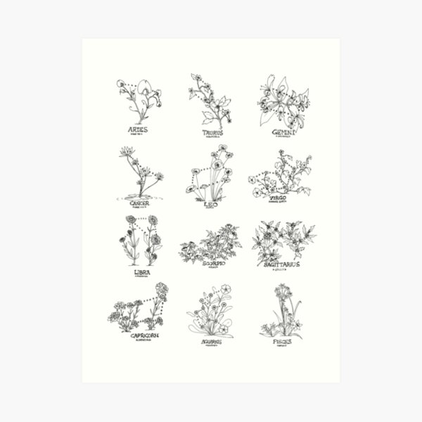 Floral Constellation - Ensemble Art Print