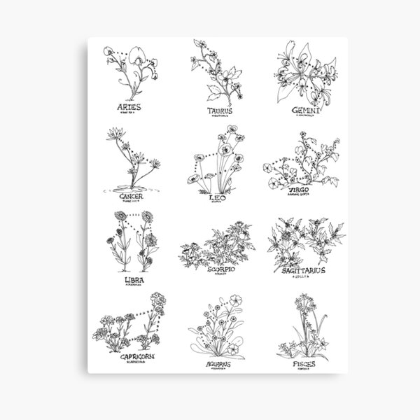 Floral Constellation - Ensemble Canvas Print