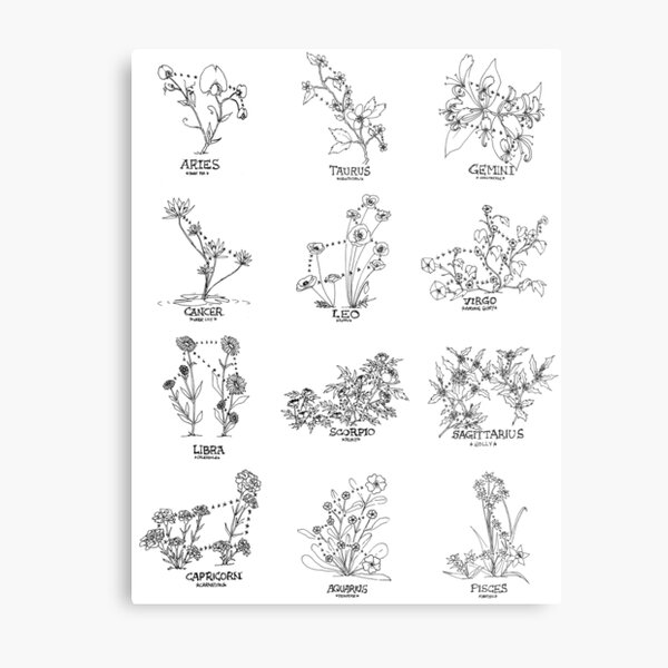 Floral Constellation - Ensemble Metal Print