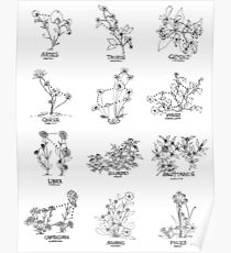 Floral Constellation - Ensemble Poster